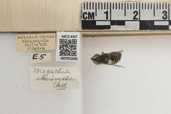 Media type: image;   Entomology 791046 Aspect: Labels